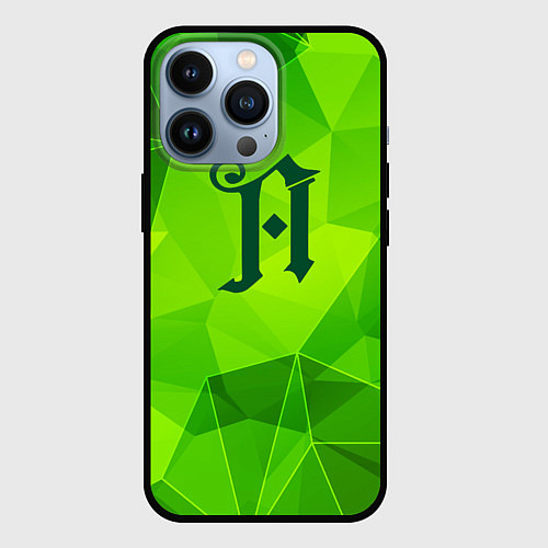 Чехол iPhone 13 Pro Architects green poly / 3D-Черный – фото 1