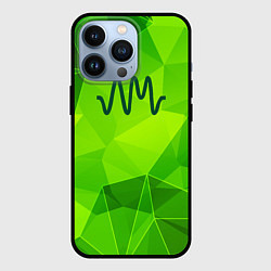 Чехол для iPhone 13 Pro Arctic Monkeys green poly, цвет: 3D-черный