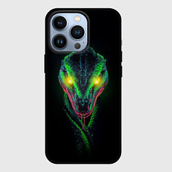 Чехол для iPhone 13 Pro Дух змеи, цвет: 3D-черный