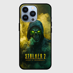 Чехол iPhone 13 Pro Stalker 2 череп