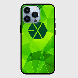 Чехол iPhone 13 Pro Exo green poly