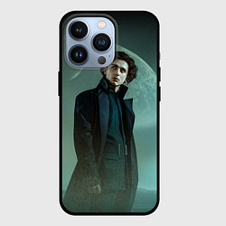 Чехол для iPhone 13 Pro Timothee Chalamet in the desert, цвет: 3D-черный