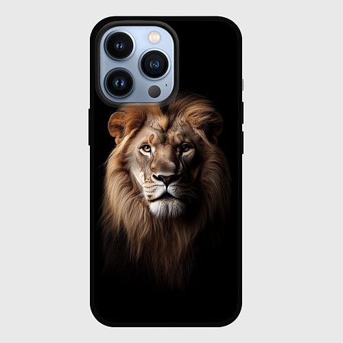 Чехол iPhone 13 Pro Mufasa / 3D-Черный – фото 1