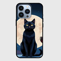 Чехол для iPhone 13 Pro Кот с вином под луной, цвет: 3D-черный
