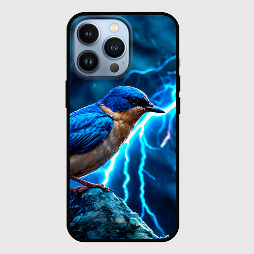 Чехол iPhone 13 Pro Ласточка в грозу / 3D-Черный – фото 1