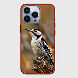Чехол iPhone 13 Pro Дятел в лесу