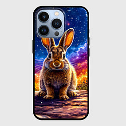 Чехол iPhone 13 Pro Зачик и космическое небо