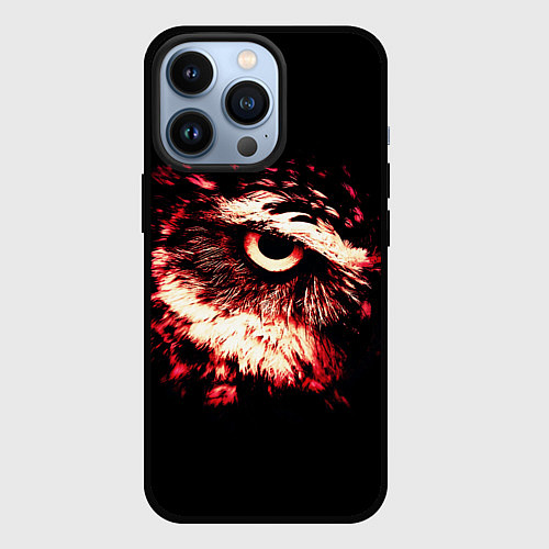 Чехол iPhone 13 Pro Совух - светлый / 3D-Черный – фото 1