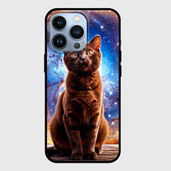 Чехол iPhone 13 Pro Бурма в космосе