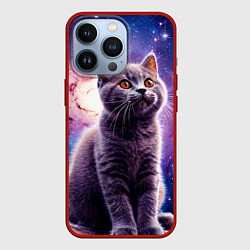 Чехол iPhone 13 Pro Британская короткошёрстная кошка в космосе
