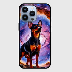 Чехол iPhone 13 Pro Пинчер в космосе