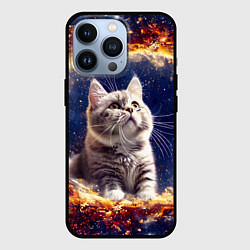 Чехол iPhone 13 Pro Кошка шиншилла в космосе