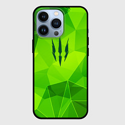 Чехол для iPhone 13 Pro The Witcher green poly, цвет: 3D-черный