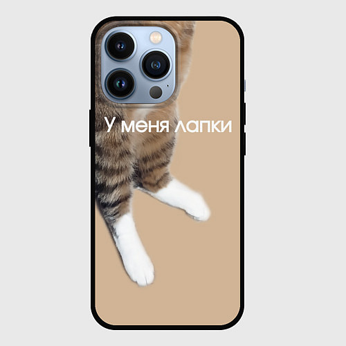 Чехол iPhone 13 Pro У меня лапки кот Марс / 3D-Черный – фото 1