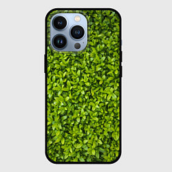 Чехол iPhone 13 Pro Зеленая трава