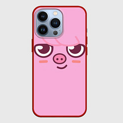 Чехол iPhone 13 Pro Dwaekki skzoo