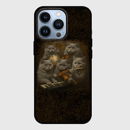 Чехол iPhone 13 Pro Когда Наташа музыкант / 3D-Черный – фото 1