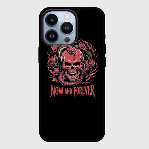 Чехол iPhone 13 Pro Череп со змеей и розами тату / 3D-Черный – фото 1