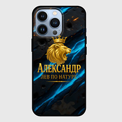 Чехол iPhone 13 Pro Александр лев по натуре