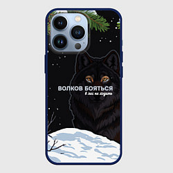 Чехол iPhone 13 Pro Волк призрак темный арт