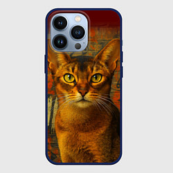 Чехол iPhone 13 Pro Абиссинская кошка на фоне кирпичной стены с граффи