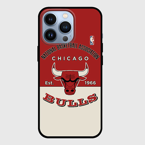 Чехол iPhone 13 Pro NBA Bulls Vintage / 3D-Черный – фото 1