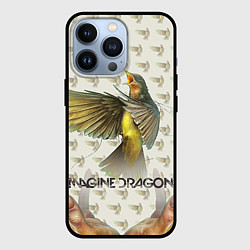 Чехол iPhone 13 Pro Imagine Dragons: Fly