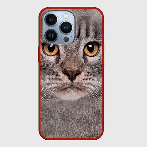 Чехол iPhone 13 Pro Котик / 3D-Красный – фото 1
