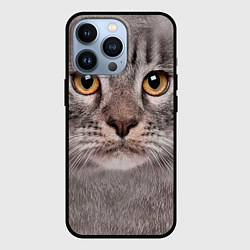 Чехол для iPhone 13 Pro Котик, цвет: 3D-черный