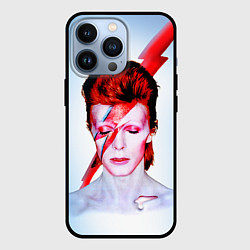 Чехол iPhone 13 Pro Aladdin sane