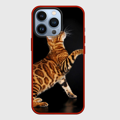 Чехол iPhone 13 Pro Бенгальская кошка / 3D-Красный – фото 1