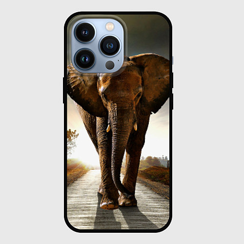 Чехол iPhone 13 Pro Дикий слон / 3D-Черный – фото 1