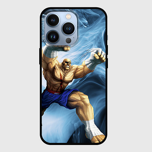 Чехол iPhone 13 Pro Muay Thai Rage / 3D-Черный – фото 1