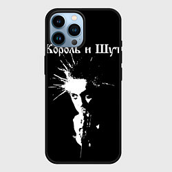 Чехол для iPhone 14 Pro Max Король и Шут Анархия спина, цвет: 3D-черный