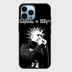 Чехол для iPhone 14 Pro Max Король и Шут Анархия спина, цвет: 3D-черный