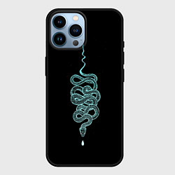 Чехол для iPhone 14 Pro Max Вьющаяся змея, цвет: 3D-черный