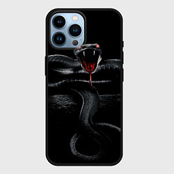 Чехол для iPhone 14 Pro Max ЗМЕЯ НА КАМНЕ НА ЧЕРНОМ ФОНЕ, цвет: 3D-черный