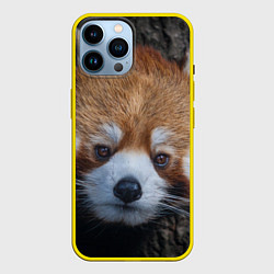 Чехол для iPhone 14 Pro Max Крaсная панда, цвет: 3D-желтый
