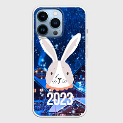 Чехол для iPhone 14 Pro 2023 крольчиха, цвет: 3D-белый