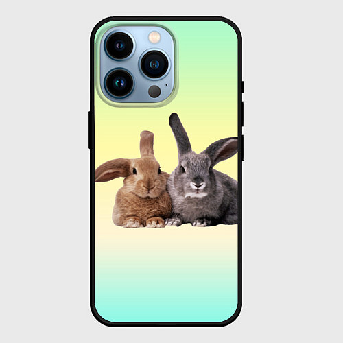 Чехол iPhone 14 Pro Два пушистых кролика / 3D-Черный – фото 1