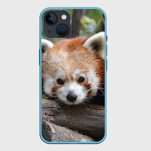 Чехол iPhone 14 Красная панда / 3D-Голубой – фото 1
