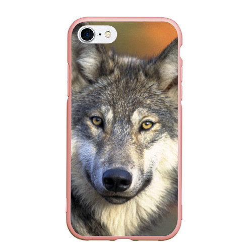 Чехол iPhone 7/8 матовый Улыбка волка / 3D-Светло-розовый – фото 1