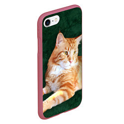 Чехол iPhone 7/8 матовый Мейн кун рыжий кот, цвет: 3D-малиновый — фото 2