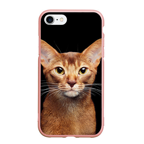 Чехол iPhone 7/8 матовый Молодая абиссинская кошечка / 3D-Светло-розовый – фото 1