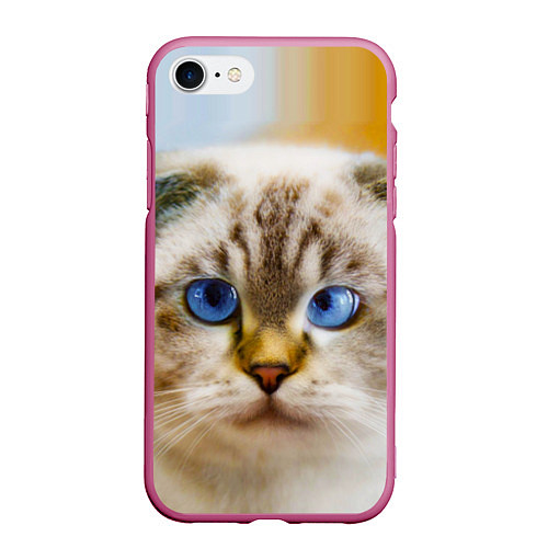 Чехол iPhone 7/8 матовый Кошка породы шотландская вислоухая косоглазая / 3D-Малиновый – фото 1