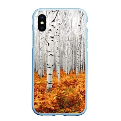 Чехол iPhone XS Max матовый Березовая роща