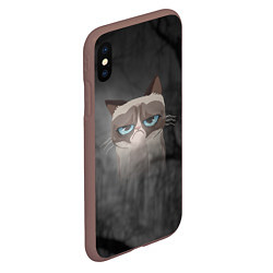 Чехол iPhone XS Max матовый Grumpy Cat, цвет: 3D-коричневый — фото 2