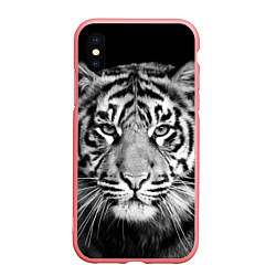 Чехол iPhone XS Max матовый Мордочка тигра, цвет: 3D-баблгам