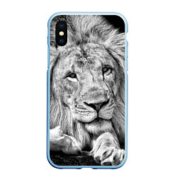 Чехол iPhone XS Max матовый Милый лев, цвет: 3D-голубой