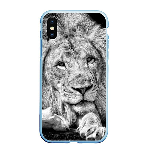 Чехол iPhone XS Max матовый Милый лев / 3D-Голубой – фото 1